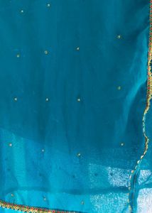 Vantage dupatta with Gold Embellishments