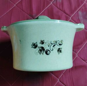 Swiggy Insulated Casserole Dish