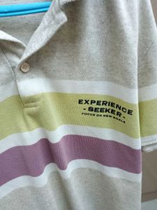 Striped Polo T-Shirt-size 32