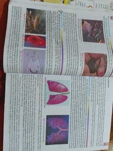 Biology  for Class Tenth