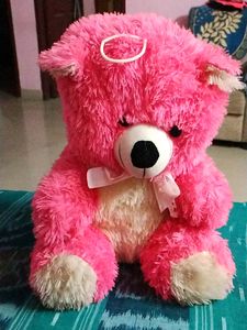 Deddy Bear For Kids New