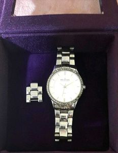 Skagen Denmark Women's Watch Steel