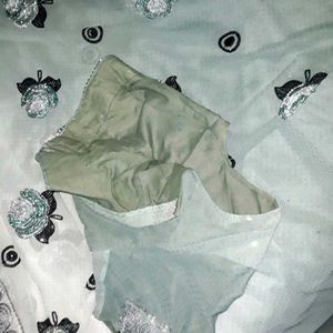 Embroidered Pastel green Saree+blouse