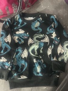 Dragon Print Sweatshirt for Kids
