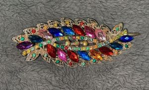 Multi-Coloured Gem Hair Clip
