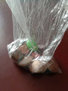 Assorted Smooth River Stones