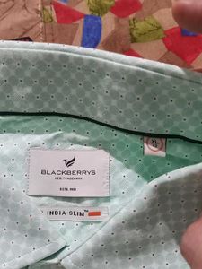 Blackeberrys Light Green Patterned Shirt