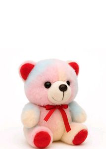 Adorable Rainbow Teddy Bear Plush Toy