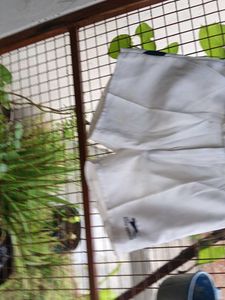 Shiv Naresh White Sports Shorts