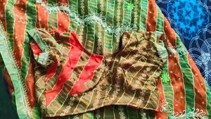 Vibrant Striped Embroidered Saree