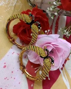 Stunning Peacock Bangle Set