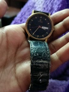 Titan Watch - Classic Style