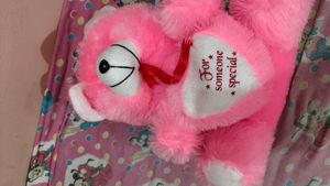 Pink Teddy Bear - "For Someone Special"