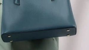 purse