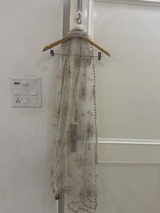 Elegant Embellished Skirt
