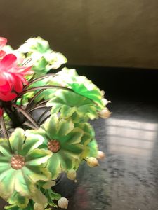 Flower Show