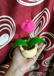 Crochet Tulip in Pot