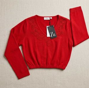 Charming Red V-Neck Sweater