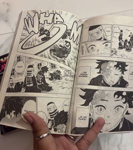 Demon Slayer Manga Volumes 22 &amp; 23