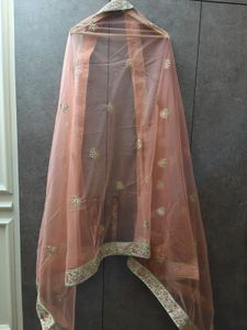 Beige Lehenga Choli Set