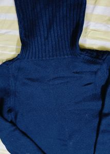 woolen Navy Blue Turtleneck Knit Dress