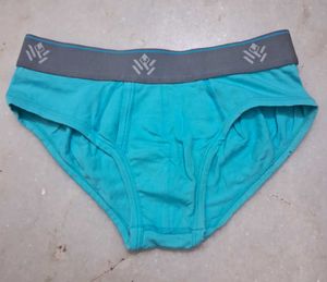 Men's Blue Briefs