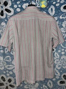 striped crop and fitted shirt
