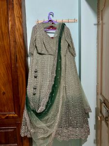 Pastel Shaded Green  Designer Lehenga