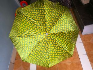 umbrella beautiful green color