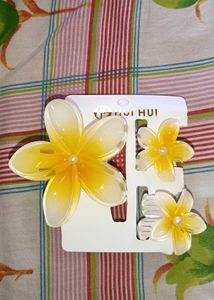 2-Flower Hair Clip Set
