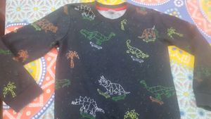 Dinosaur Skater Print Top