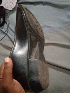 Formal Women Shoes/bellies