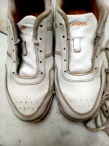 campus Shoes