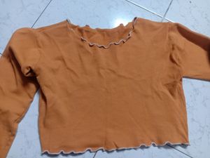 Full Sleeves Crop Top