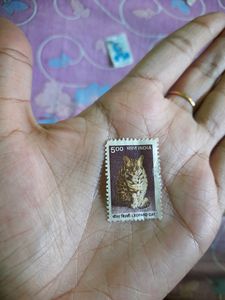 India Year 2000 Rare 5 Stamps Of Leopard Cat