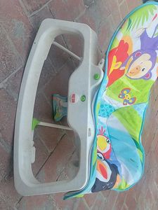 Fisher-Price Baby Bouncer Seat