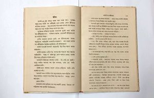 Classic Novel - Count of Monte Cristo