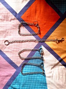 Pets Silver Metal Chain Belt