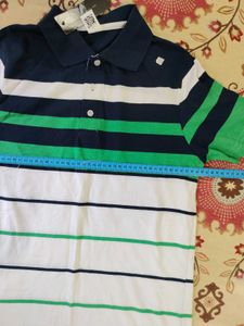 New Striped Polo T-Shirt
