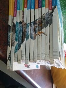 Illustrated Family Encyclopedia Set