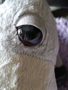 Cute Grey Donkey Plush Toy