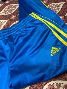 Blue Track Pants / Casual wear