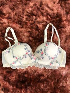 Charming Floral Embroidered Bra