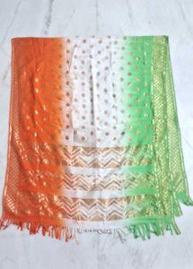 Set of 3 Beautiful Dupattas