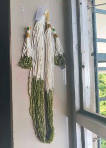 Elegant Beaded Necklace & Earring Set