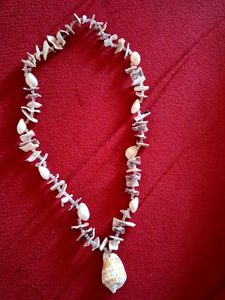 Bohemian Shell Necklace