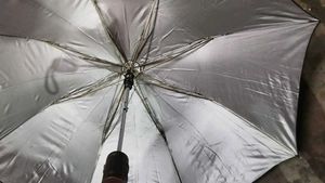 Black Umbrella