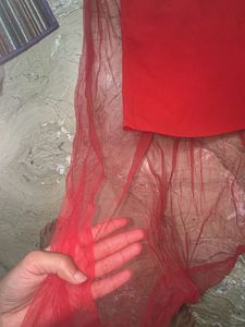 Stunning Red Evening Gown with net silhoutte