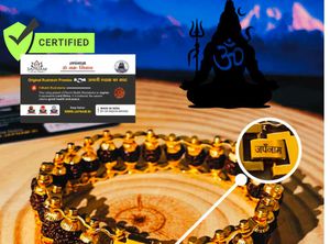 Brand New/ Unused 5 Mukhi Rudraksh JAPNAM Bracelet