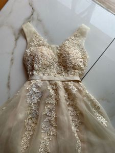 vintage Lace tulle dress